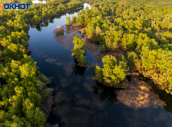 Стратегически важный для региона проект на 2,4 миллиарда рублей запускают под Волгоградом