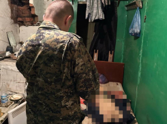Любовник забил до смерти поленом сожительницу под Волгоградом