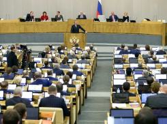 Депутаты Госдумы могут заявиться всем Советом в Волгоград