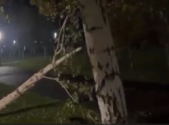 Взбесившаяся иномарка устроила погром в волгоградском парке: видео с последствиями