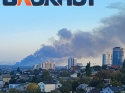 20 га полыхает на виду Волгограда в пойме