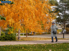 Облачно, дождь и сильный ветер: погода в Волгограде