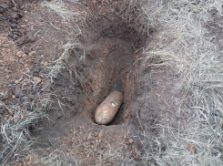 Две фугасные бомбы нашли под Волгоградом
