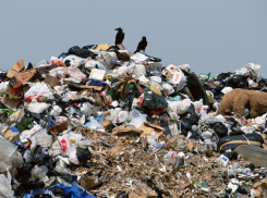 В Волгограде через суд ликвидировали крупную свалку возле жилого дома