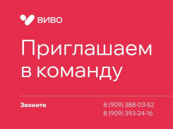Надежный работодатель «ВивоМаркет» предлагает стабильность и перспективы