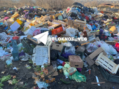 Жадины загадили живописный уголок Волгограда тоннами мусора: за его вывоз должны миллионы 