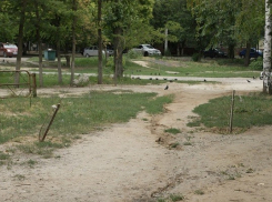 В Волгограде чиновники нашли виновного в уничтожении сквера на Тулака