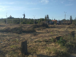 Волгоградские чиновники  признали - вместо парка будет автостоянка