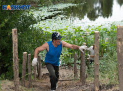 Волгоградцы боятся, что вход на озеро с розовыми лотосами станет платным