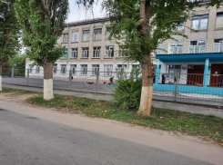 Агрессивные собаки бросились на детей у выхода в школу под Волгоградом: псов сняли на видео