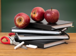 Ограничения продолжаются: волгоградские школьники выходят в понедельник на учебу