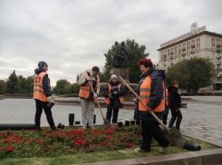 Цветочные клумбы Волгограда переходят в зимний режим 