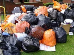 В Волгограде садоводческое общество выплатит 50 тысяч за свалку