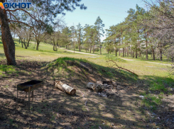 Шашлычный сезон отменили в лесах Волгоградской области 