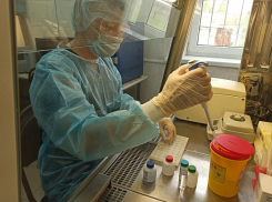 В Волгоградской области число лабораторий для тестирования на коронавирус увеличится до 15