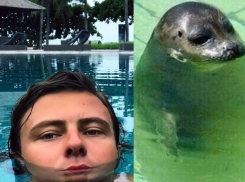 Поклонники сравнили Прохора Шаляпина с тюленем 