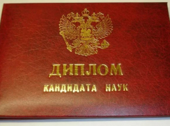 Депутаты и чиновники Волгограда ради науки отказываются от сна и еды