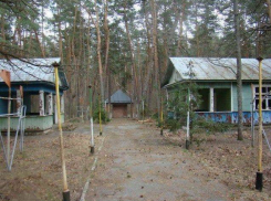 Волгоградская область вернулась к 1944 году по уровню детского отдыха