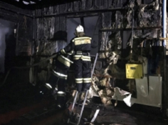 Мужчина с 4-летней внучкой заживо сгорели в частном доме под Волгоградом