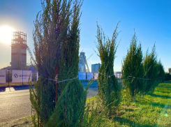 «Экология – дело каждого»: юные котельниковцы популяризуют экологическую культуру