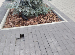 Позорным провалом отметилось многомиллионное благоустройство в центре Волгограда через месяц после сдачи