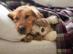 Дождь, снег и холод вернулись в Волгоградскую область