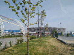 «Волгоград Арена» заплатит более 15 миллионов за охрану стадиона