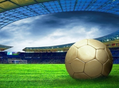 Волгоградцы выберут талисман к ЧМ- 2018