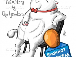 Автор необычных рисунков для футболистов «Ротора"подарила редакции «Блокнот Волгограда» фирменного кота