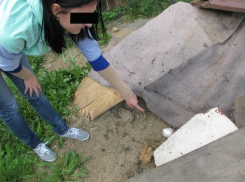 В Волгограде мать и дочь получили срок за раскладку наркотиков по тайникам