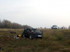 Отпустить  ее на свободу попросила экс-мэр Волжского Марина Афанасьева