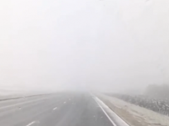 Метель затрудняет движение по волгоградской трассе: видео 