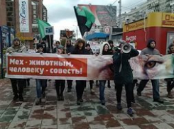 В Волгограде 7 ноября пройдет акция «Красота не требует жертв» 