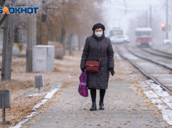 Четверо умерли и 229 заразились: данные по коронавирусу в Волгоградской области на 17 ноября