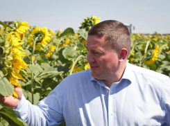 Губернатор Волгоградской области выступит с оперной сцены перед активистами «Единой России»