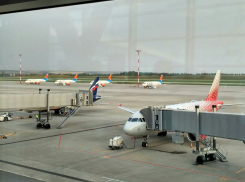 Волгоградец с приятелем устроил дебош на борту самолета