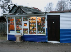 Чиновники отчитались о планах установить еще 46 киосков в Волгоградской области