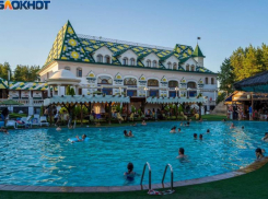 Защитники «Соснового бора» обратились с открытым письмом к главе СУ СКР Александру Бастрыкину, чтобы остановить чиновничий беспредел