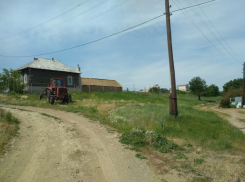 В Камышине полтора месяца не могут уничтожить авиабомбу: полиция охраняет огород