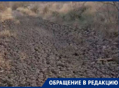 Масштабную фекальную диверсию расследуют под Волгоградом