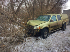 Подрезанный джип врезался в дерево в Волгограде