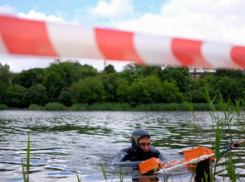 Мертвый мужчина найден в камышах в Волгоградской области