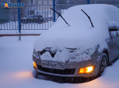 Сильная метель накроет Волгоградскую область: Гидрометцентр