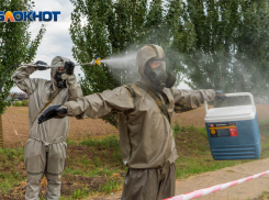 «С этими знаниями появится шанс выжить»: курсы первой помощи при ЧС готовят в Волгограде