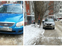 Автомобильные войны: один из дворов Волгограда превратился в бесплатную парковку