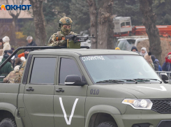 Волгоградским школьникам на уроках истории начнут рассказывать про СВО