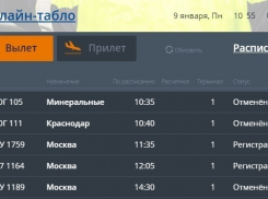 Авиакомпании отменили четыре рейса из Волгограда и Москвы 