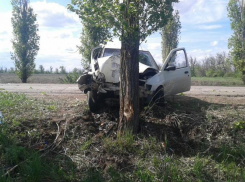 Под Волгоградом водитель Ford врезался в дерево