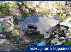 «Мусорный» родник сняла на видео жительница Волгограда