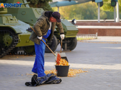 Названы самые высокооплачиваемые вакансии ноября в Волгограде